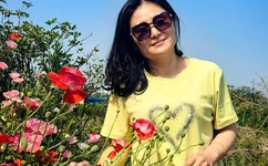 苹果 范冰冰下载